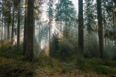 Fondo de pantalla Naturaleza 4K · nature · 3840×2560