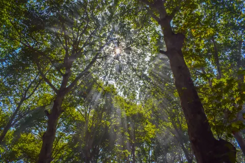 自然 4K桌布 · nature · 3840×2560