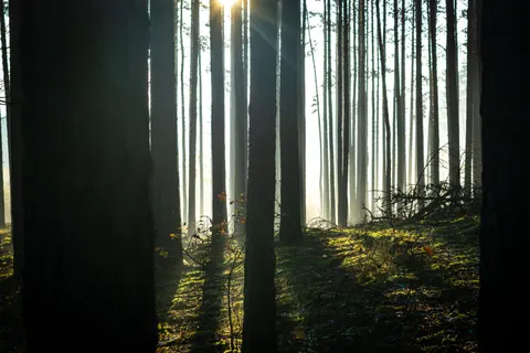 自然 4K壁紙 · nature · 3840×2560