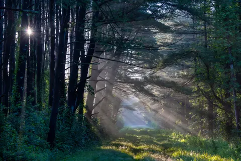 自然 4K壁紙 · nature · 3840×2561