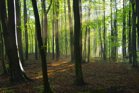 والپیپر طبیعت با کیفیت 4K · nature · 3840×2560