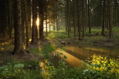 والپیپر طبیعت با کیفیت 4K · nature · 3840×2561