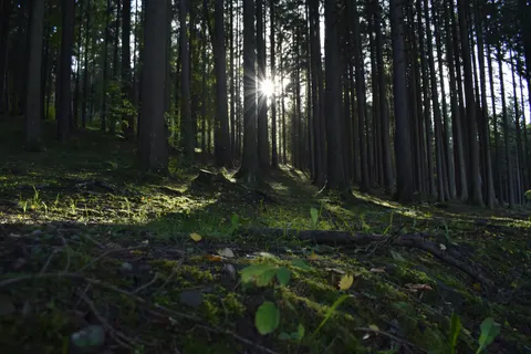 Fondo de pantalla Naturaleza 4K · nature · 3840×2560