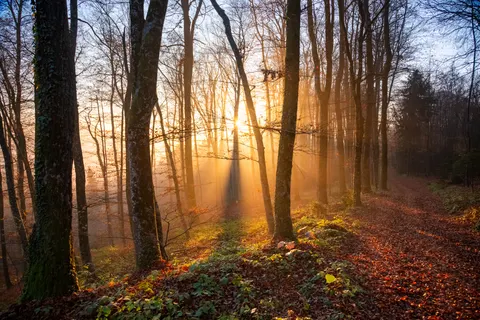 Natur 4K Hintergrundbild · nature · 3840×2560