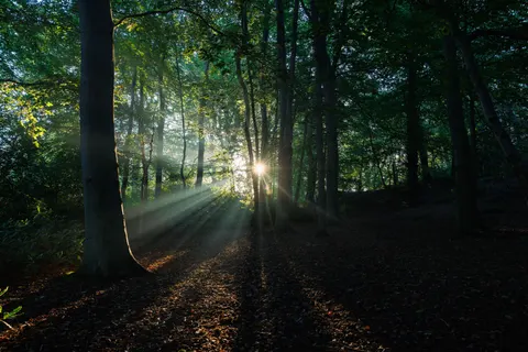 自然 4K壁紙 · nature · 3840×2561