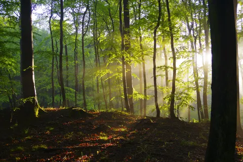Papel de parede Natureza 4K · nature · 3840×2560