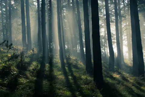 自然 4K桌布 · nature · 3840×2560