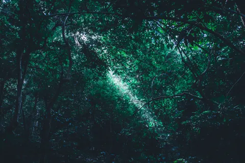 प्रकृति 4K वॉलपेपर · nature · 3840×2560