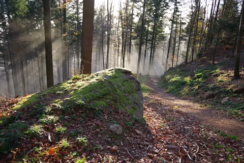 Fondo de pantalla Naturaleza 4K · nature · 3840×2560