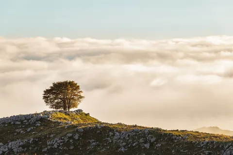 Above the Clouds 4K Wallpaper · mountains · 3840×2560