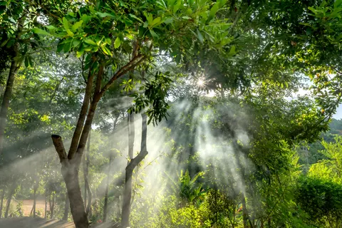 自然 4K壁纸 · nature · 3840×2560