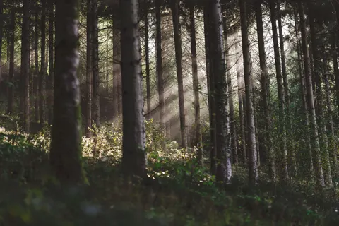 والپیپر طبیعت با کیفیت 4K · nature · 3840×2560