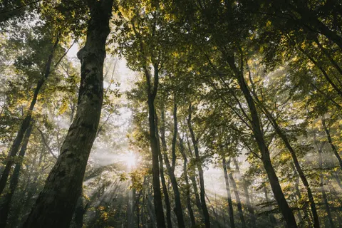 Fondo de pantalla Naturaleza 4K · nature · 3840×2560