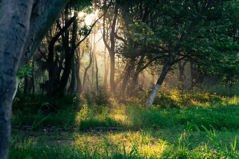 自然 4K壁紙 · nature · 3840×2560