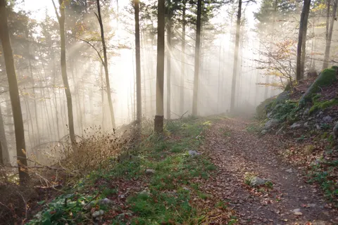自然 4K壁紙 · nature · 3840×2560