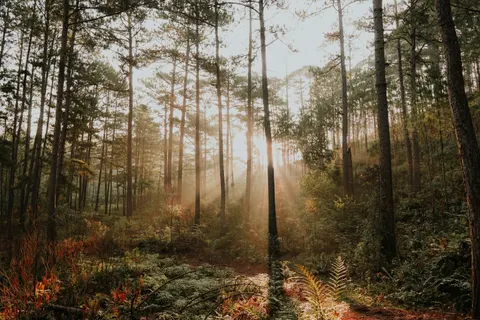 Fondo de pantalla Naturaleza 4K · nature · 3840×2560