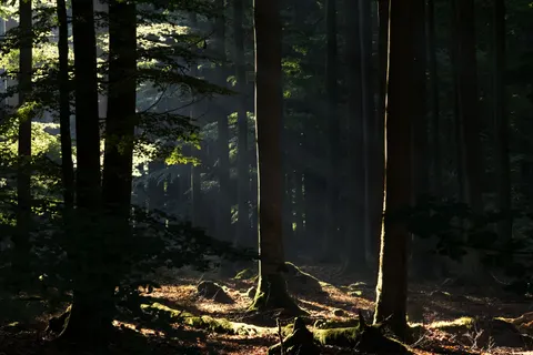 Natuur 4K-achtergrond · nature · 3840×2561