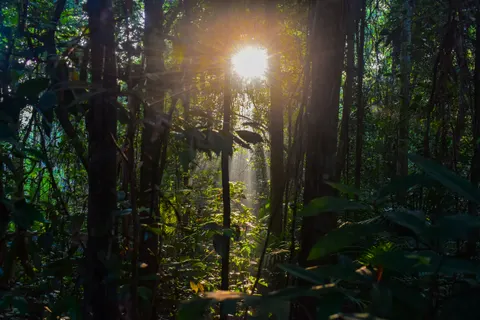 والپیپر طبیعت با کیفیت 4K · nature · 3840×2560