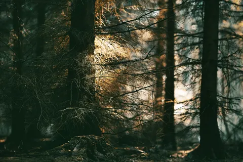 والپیپر طبیعت با کیفیت 4K · nature · 3840×2560