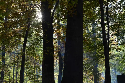 प्रकृति 4K वॉलपेपर · nature · 3840×2560