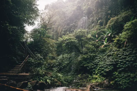 Rainforest Waterfall 4K Wallpaper · nature · 3840×2560