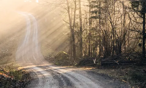 自然 4K壁紙 · nature · 3840×2311