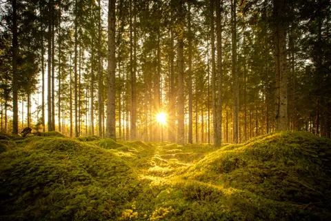 خلفية طبيعة بدقة 4K · nature · 3840×2560