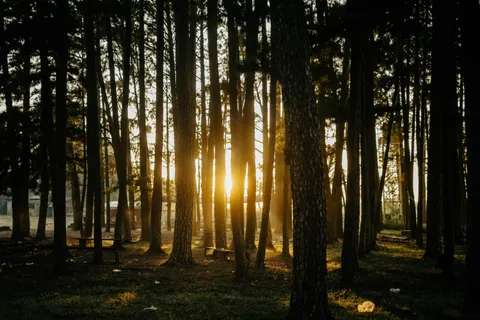 والپیپر طبیعت با کیفیت 4K · nature · 3840×2560