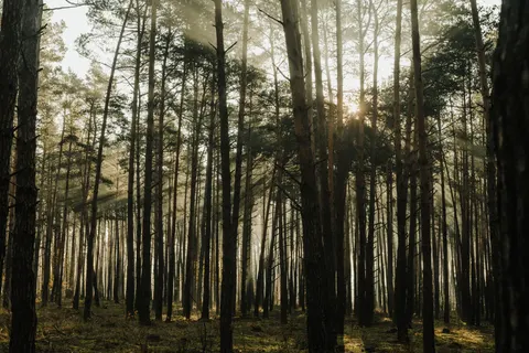 प्रकृति 4K वॉलपेपर · nature · 3840×2560