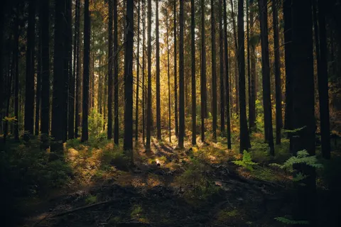 Papel de parede Natureza 4K · nature · 3840×2560