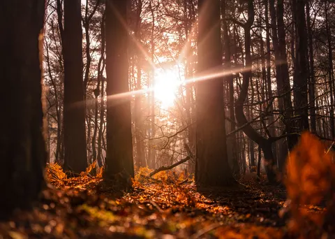 Sfondo Natura 4K · nature · 3840×2736