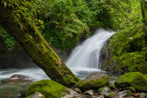Rainforest Waterfall 4K Wallpaper · nature · 3840×2560