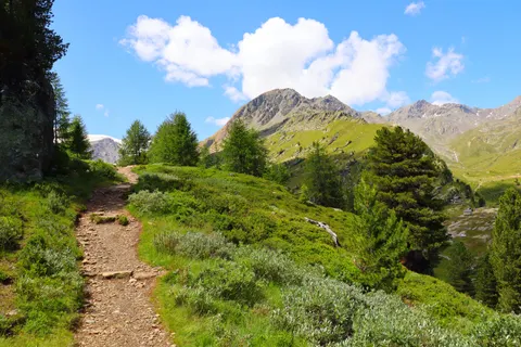 Mountain Trail 4K Wallpaper · mountains · 3840×2560