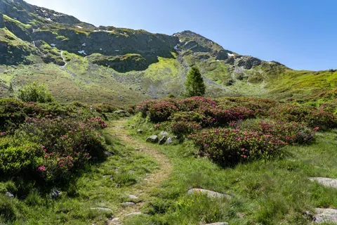 Mountain Trail 4K Wallpaper · mountains · 3840×2561