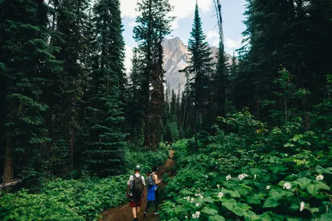 Mountain Trail 4K Wallpaper · mountains · 3840×2561