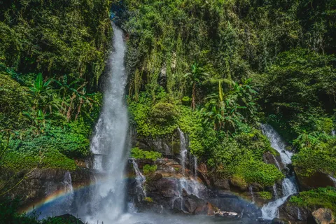 Rainforest Waterfall 4K Wallpaper · nature · 3840×2560