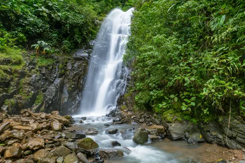 Rainforest Waterfall 4K Wallpaper · nature · 3840×2560