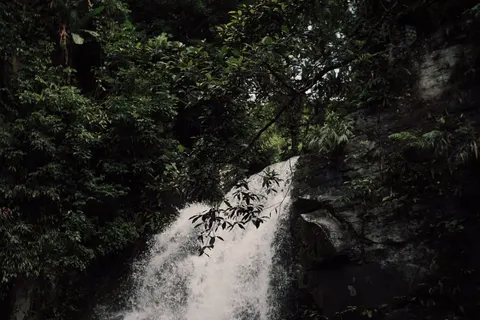 Rainforest Waterfall 4K Wallpaper · nature · 3840×2560