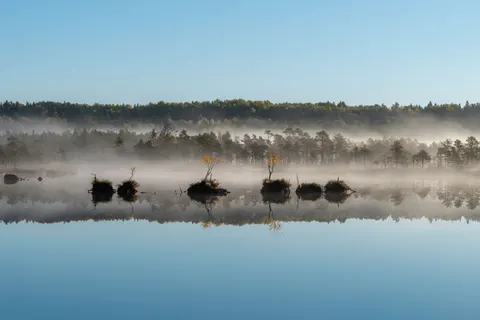 Natur 4K Hintergrundbild · nature · 3840×2560