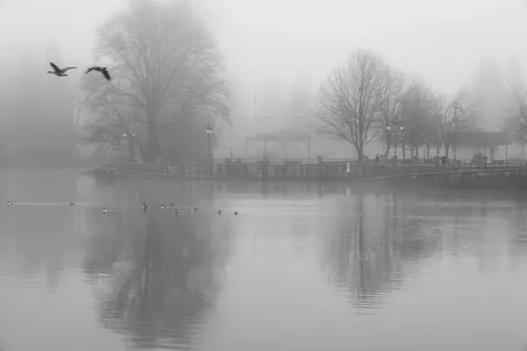 Foggy Lake 4K Wallpaper · nature · 3840×2560