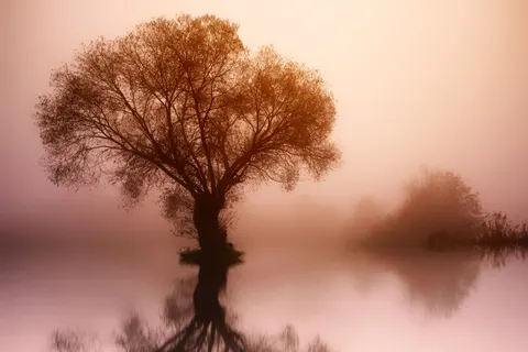 Wallpaper Alam 4K · nature · 3840×2560