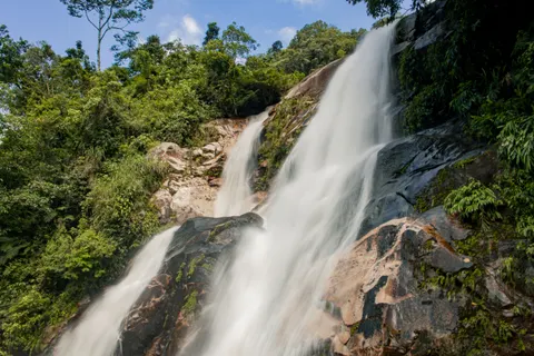 Rainforest Waterfall 4K Wallpaper · nature · 3840×2560