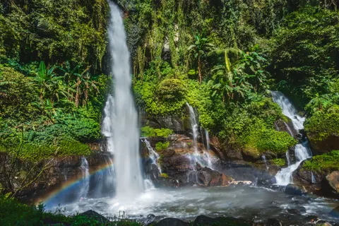 Rainforest Waterfall 4K Wallpaper · nature · 3840×2560