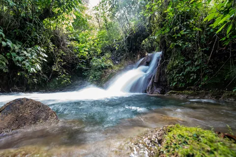 Rainforest Waterfall 4K Wallpaper · nature · 3840×2560