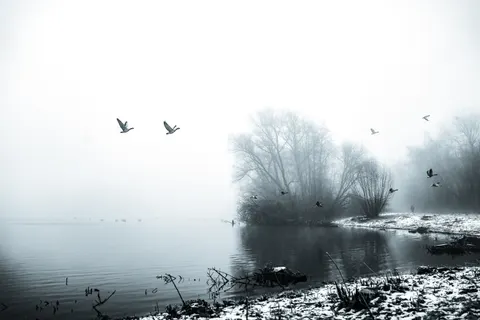 Hình nền Thiên nhiên 4K · nature · 3840×2560