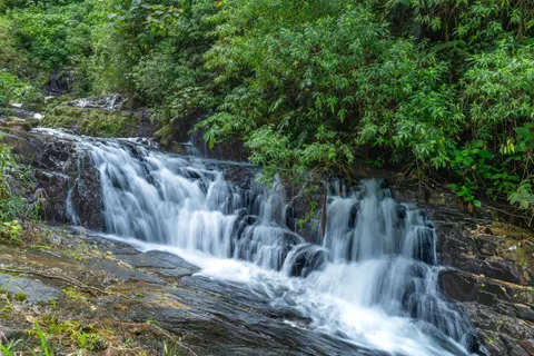 Rainforest Waterfall 4K Wallpaper · nature · 3840×2560