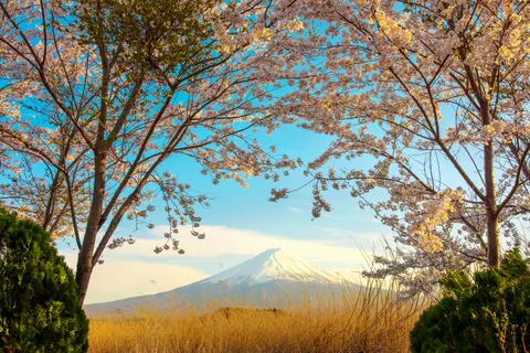 Mount Fuji 4K Wallpaper · mountains · 3840×2560