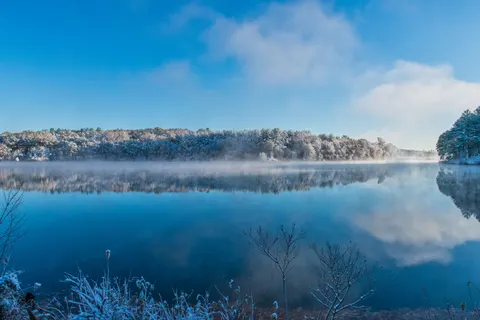 Обои Природа 4K · nature · 3840×2563