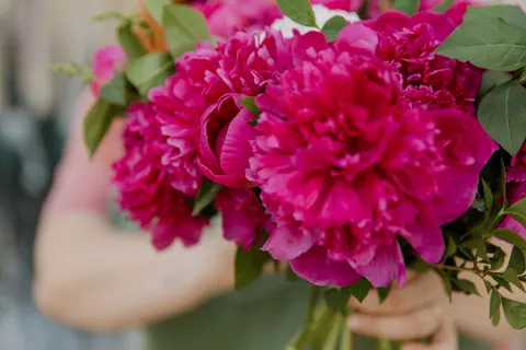 작약 4K 배경화면 · flowers · 3840×2560