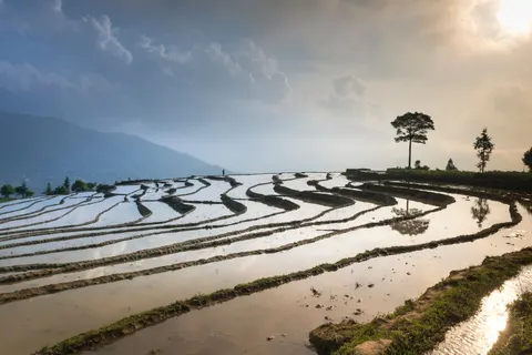 Обои Природа 4K · nature · 3840×2561